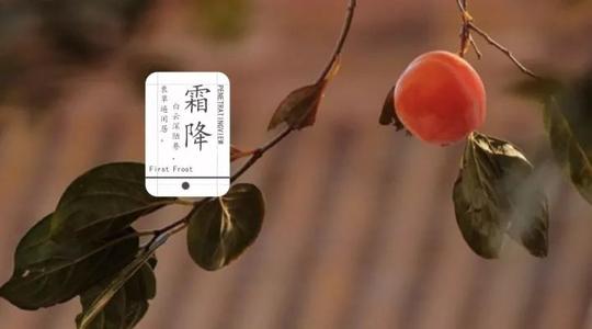 霜降習俗了解一下！